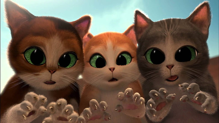 three assorted-color cat illustrations, cats, cartoon, surprise, HD wallpaper