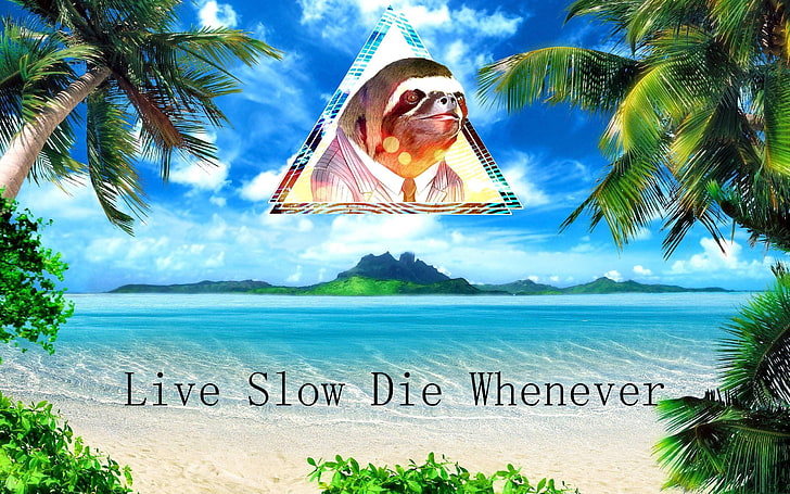 beach with live slow die whenever text overlay, motivational, HD wallpaper