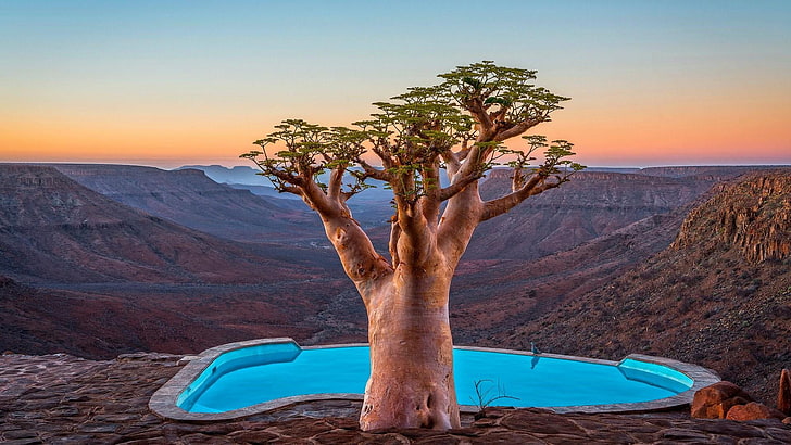 HD wallpaper: canyon, africa, namibia, tourism, mountain, baobab tree,  vacation | Wallpaper Flare