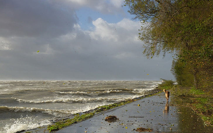 body of water near shore, sea, nature, storm, beach, land, real people