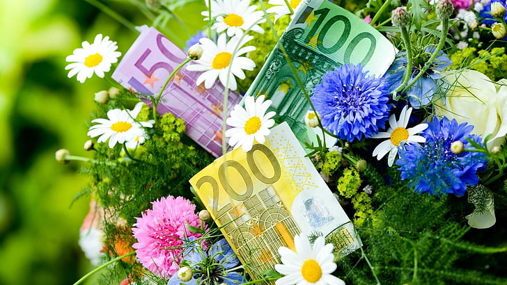 flower, flora, wildflower, bouquet, money, euro, floristry, HD wallpaper