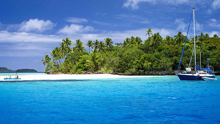 black and white sailboat, island, nature, palm trees, sea, water, HD wallpaper
