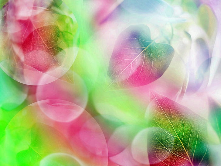 Abstract, Rainbow, Leaves, Bubble, Colorful, HD wallpaper