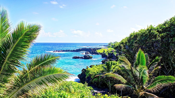 700+ Free Hawaii Beach & Hawaii Images - Pixabay