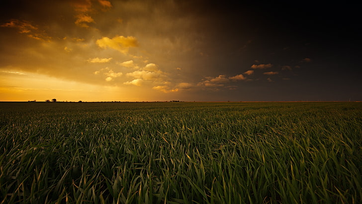 green grass field, landscape, Oklahoma, sky, sunset, agriculture, HD wallpaper