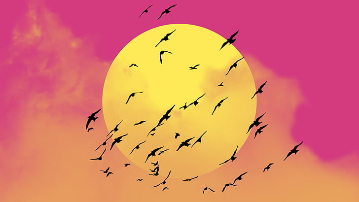 Sun, clouds, pink, birds, sky, summer, Photoshop, digital art