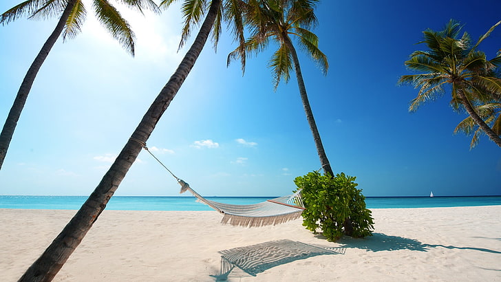 beach, sand, palm trees, landscape, hammocks, sea, sky, water