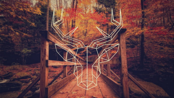 deer, fall, polygon art, simple, HD wallpaper