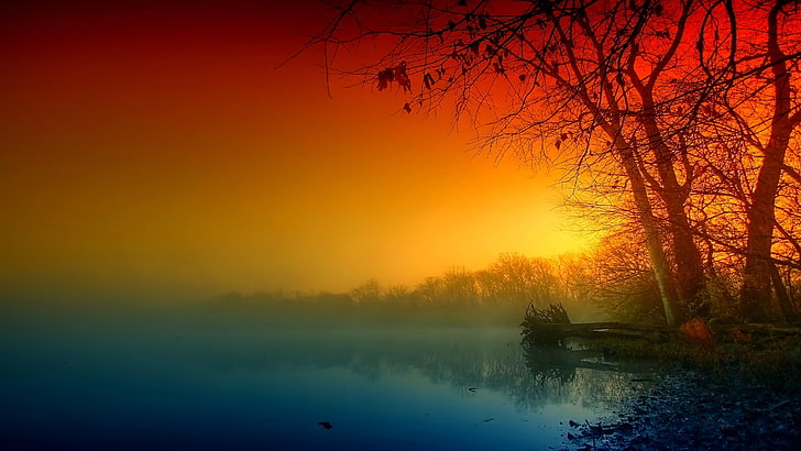 twilight, darkness, misty, lake, tree, landscape, scenery, amazing