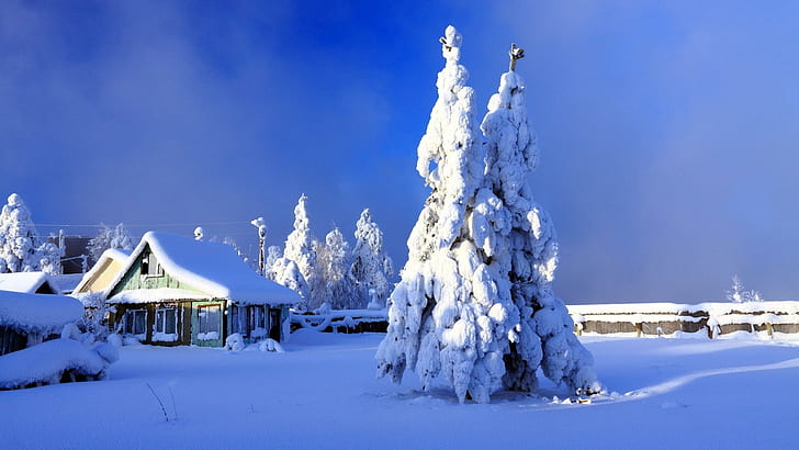 A Snowy Wonderl, white landscape, wonderland, nature, winter, HD wallpaper