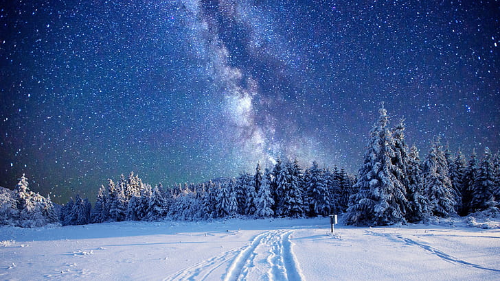 Milky Way, Winter, Sky, stars, green pine cone tree