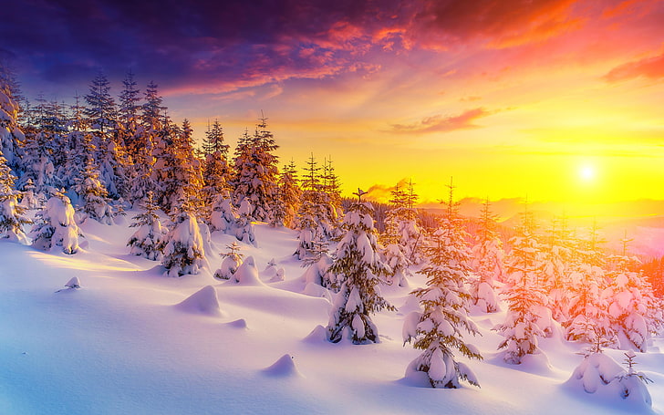 Sunset In Winter Landscape Snow Tree Trees Snowdrops Picture Wallpaper Hd For Desktop 3840×2400, HD wallpaper
