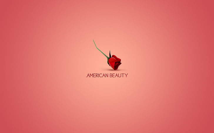 America Beauty text, American Beauty, minimalism, simple background, HD wallpaper