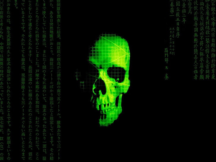 skull illustration, Dark, technology, crime, computer, coding