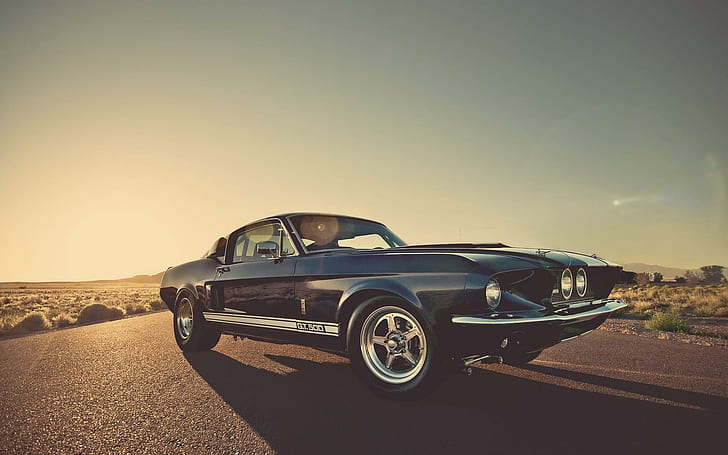 1966 Shelby Mustang GT500, black ford mustang gt, cars, 1920x1200