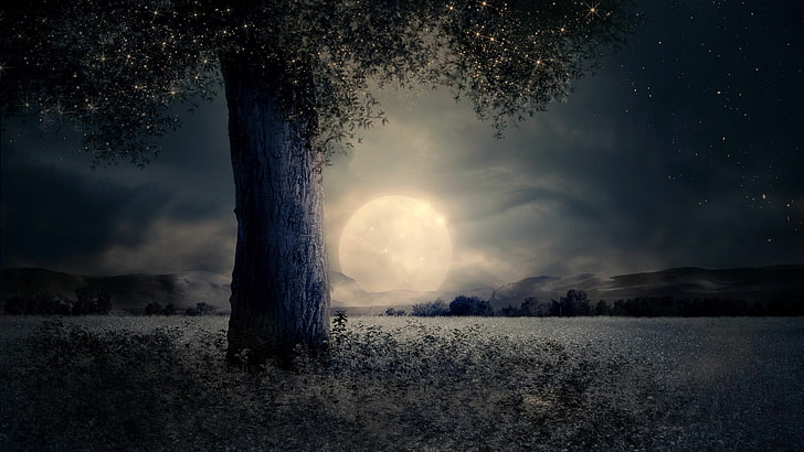 sky, full moon, nature, darkness, freezing, tree, night, cloud