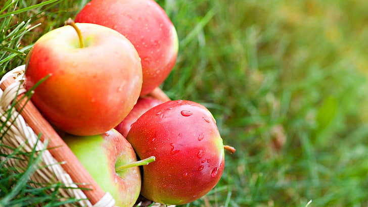 red apple fruits, apples, food, grass, food and drink, healthy eating, HD wallpaper