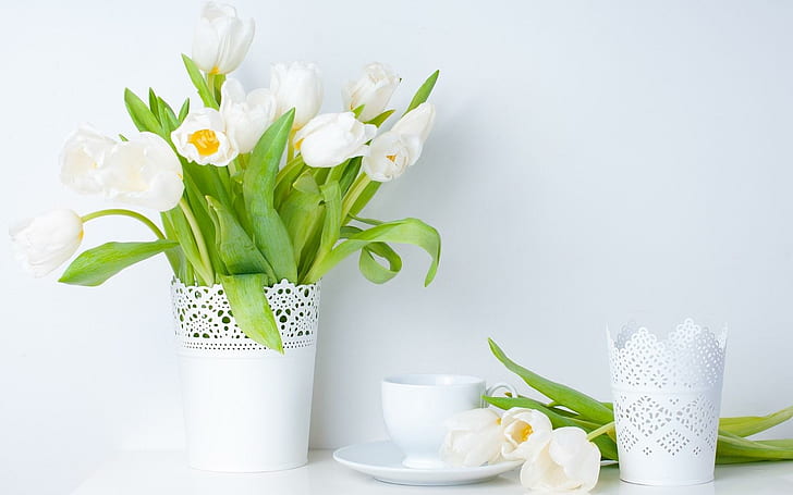 Tulips White Flowers Vase Spring, HD wallpaper