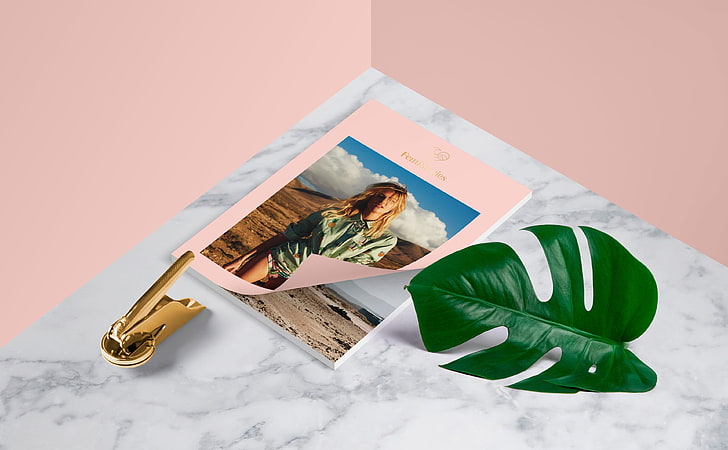 Fashion Catalog, Tropical Monstera Leaf, Marble, Aero, Creative, HD wallpaper