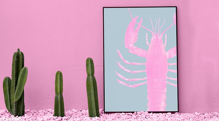 Cactus and Lobster, Cute, photography, pop art, pink, minimal, HD wallpaper