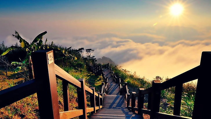 sunlight, stairway, heaven, wooden, mountain, landscape, plant, HD wallpaper