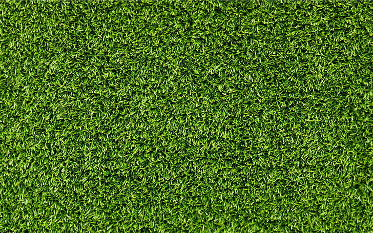 Grass lawn 1080P, 2K, 4K, 5K HD wallpapers free download | Wallpaper Flare