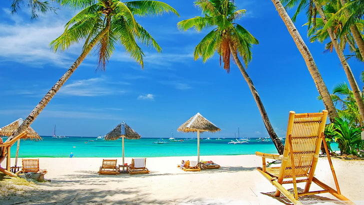 Tropical Paradise Beach Sea Palm Trees Summer Hd Desktop Wallpapers 3840×2160, HD wallpaper