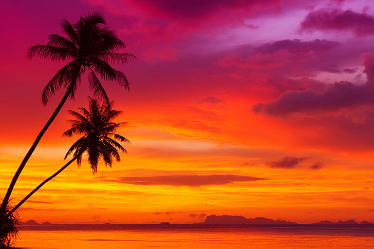 sunset, clouds, landscape, nature, tropical beach, the ocean, HD wallpaper