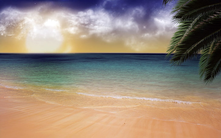 ocean water illustration, beach, sand, palm trees, sea, sky, tropical climate, HD wallpaper