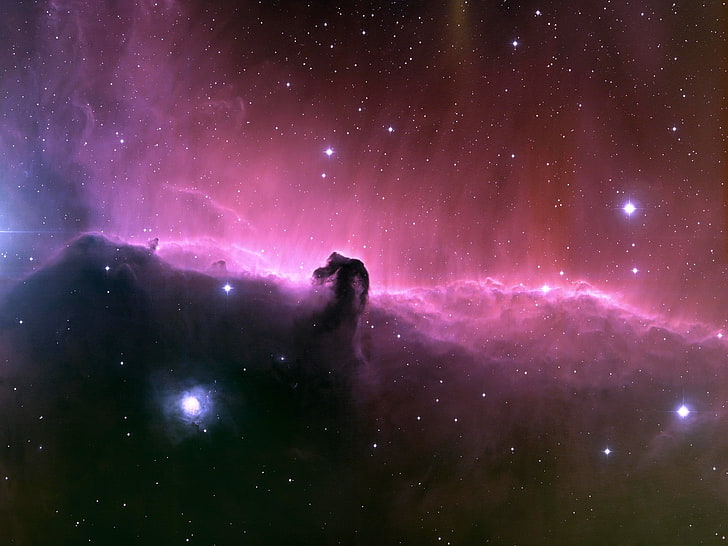 space, stars, Horsehead Nebula, night, star - space, astronomy, HD wallpaper