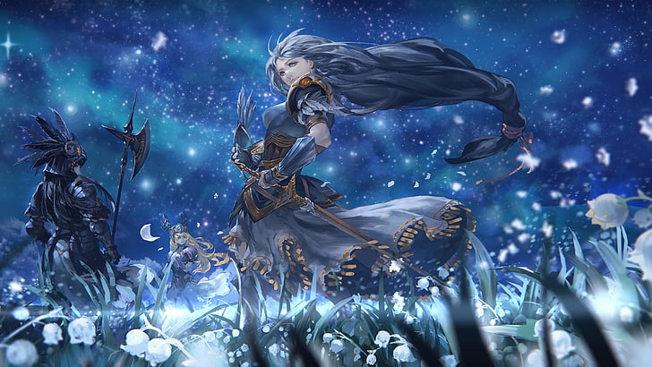 valkyrie profile, low angle view, night, blue, art and craft, HD wallpaper