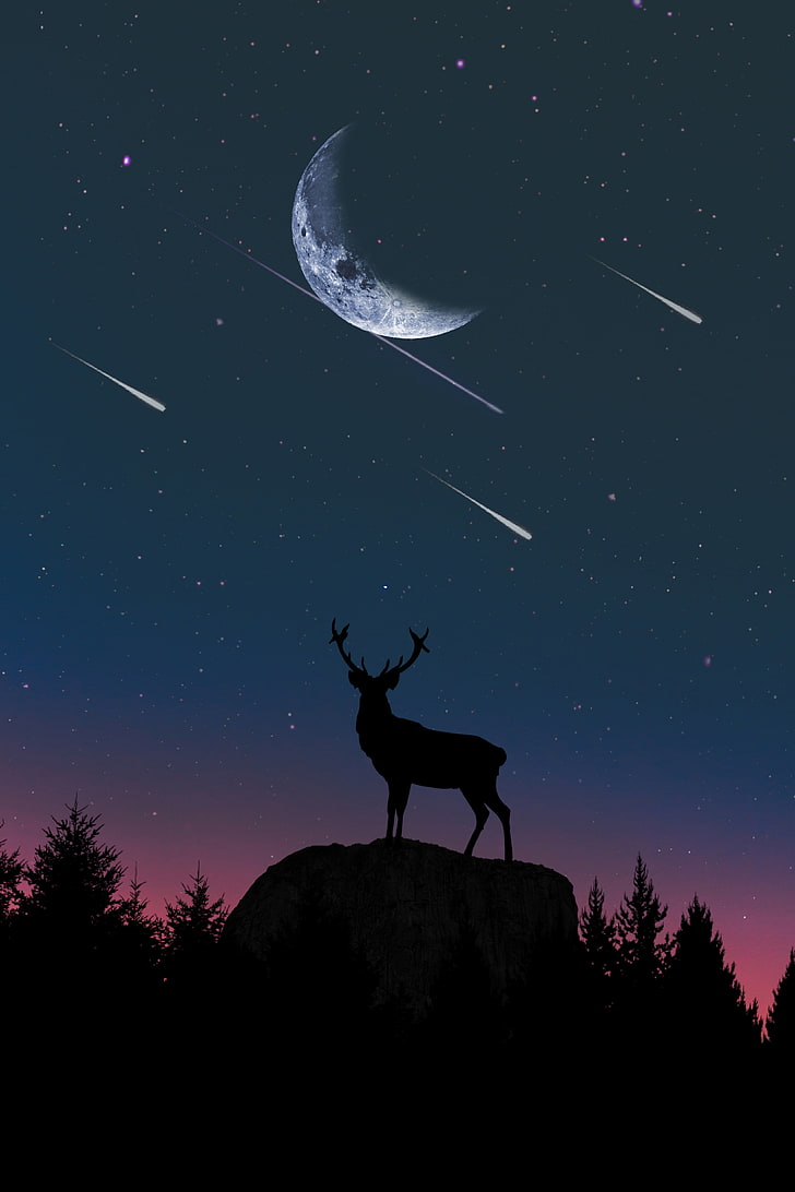 deer, falling stars, night, silhouette, moon, Landscape, sky