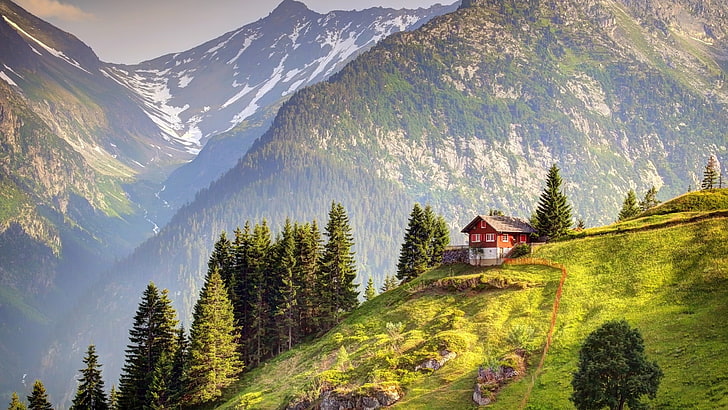 brown wooden house, landscape, mountains, cottage, Swiss Alps