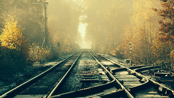train rail, railway, tracks, forest, rail transportation, railroad track, HD wallpaper