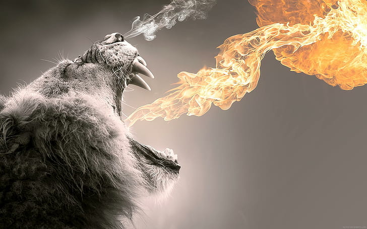 Lion roaring flames, selective color photo of fire, animal, graphic