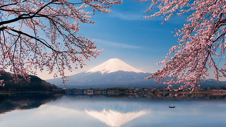 nature, sky, reflection, cherry blossom, lake, tree, mount scenery