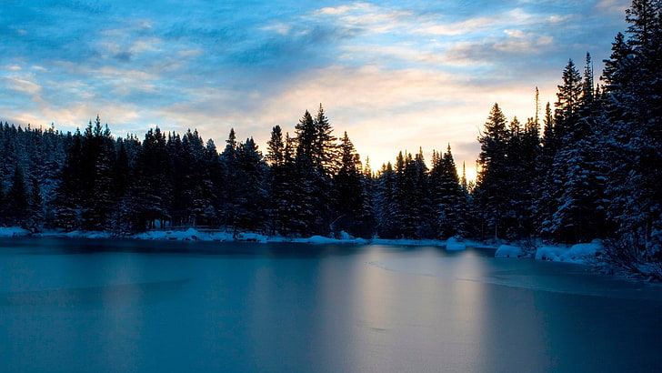 lake with pine trees landscape photography, winter, ice, forest