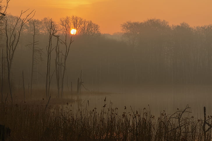 fog, lake, sunrise, morning, Germany, Mecklenburg-Vorpommern