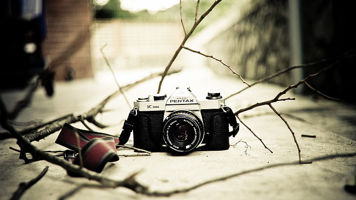black Pentax camera, branch, photography, outdoors, photography themes