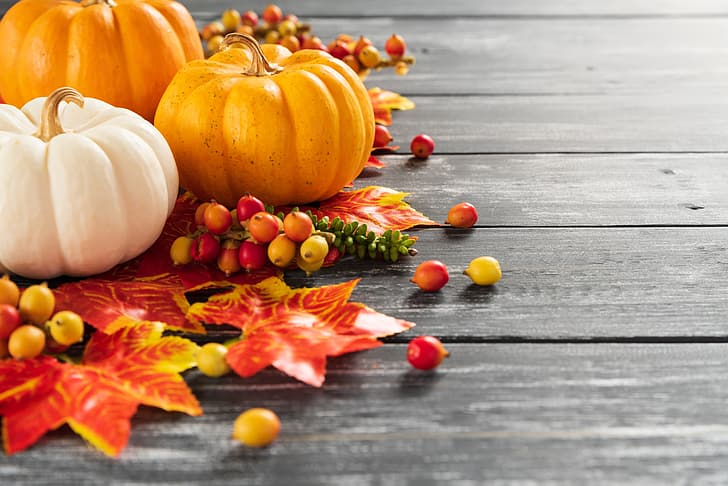 autumn, leaves, background, Board, colorful, pumpkin, maple, HD wallpaper