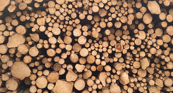 Vinyl 10x6.5ft Photography Background Moldy Wood Wood Logs Backdrop Wood Fence Timber Stack Woodpile Firewood Backdrops for Photography Winter Village 