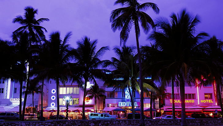 hotel, beach, palm trees, neon, evening