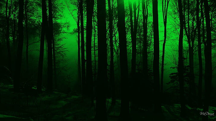 Mystical Forest, firefox persona, fantasy, magical, green, widescreen, HD wallpaper