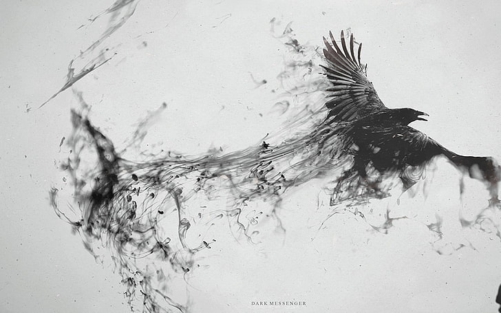 black eagle sketch, raven, digital art, photo manipulation, monochrome, HD wallpaper