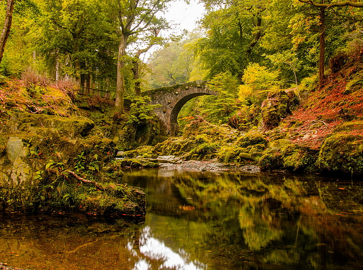 Foley's Bridge, Autumn, green leafed trees, Europe, Ireland, River, HD wallpaper
