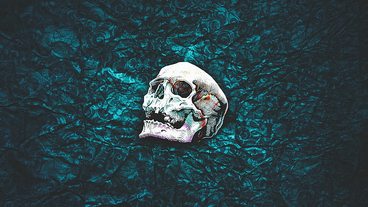 white skull painting, pattern, abstract, simple background, day, HD wallpaper