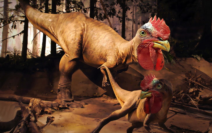 brown T-rex digital wallpaper, dinosaur, rooster rex, invented, HD wallpaper
