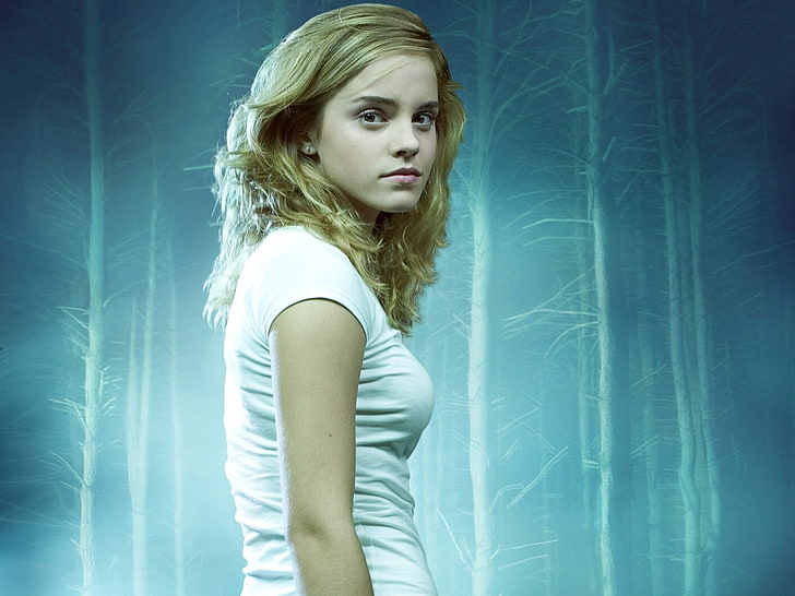 Emma Watson, Hermione Granger, actress, looking at viewer, Harry Potter, HD wallpaper