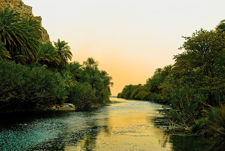 river between forest, greece, crete, palm trees, coast, resort, HD wallpaper