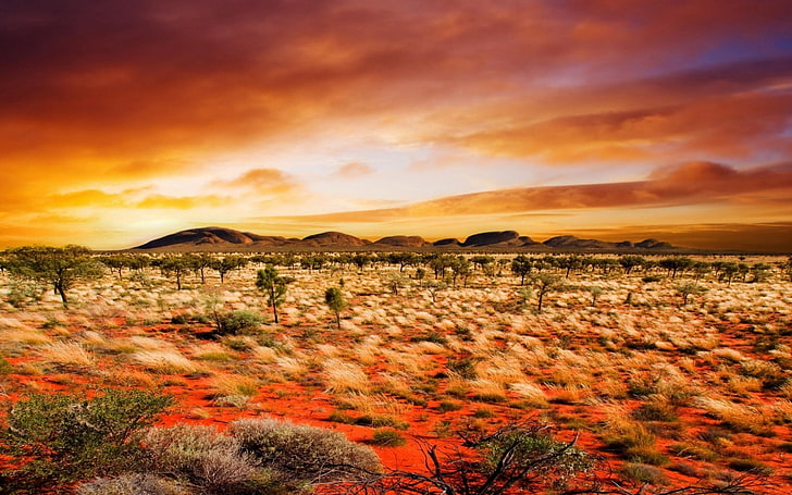 amanecer, desierto, naturaleza, nubes, HD wallpaper